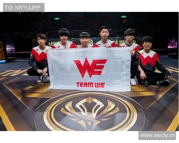 英雄联盟团队协作能力评比WE战队荣获第五名殊荣